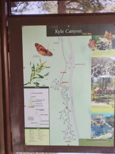 Kyle Canyon Picnic Area
