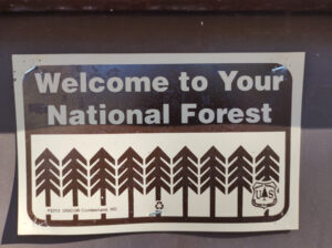 Welcome to Your National Forest